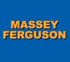 Massey Ferguson Clean Grain Paddles